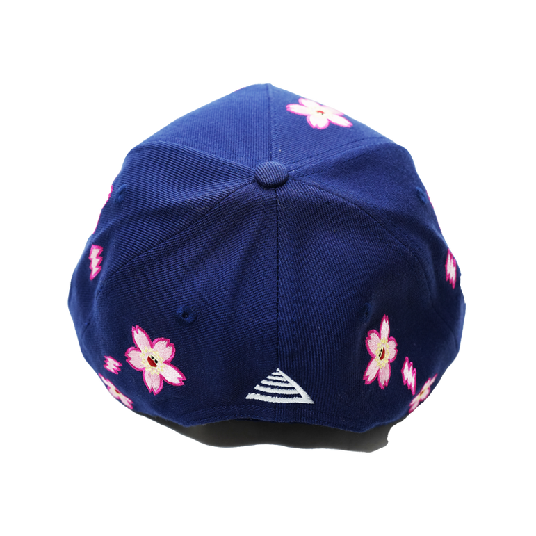 Top of the Food Chain