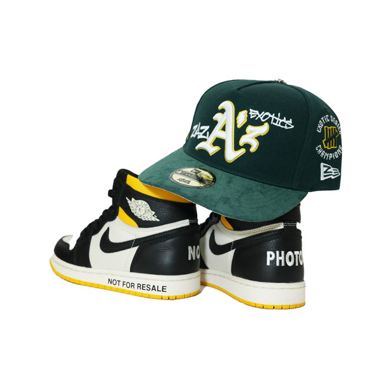 Exotic Series Champions